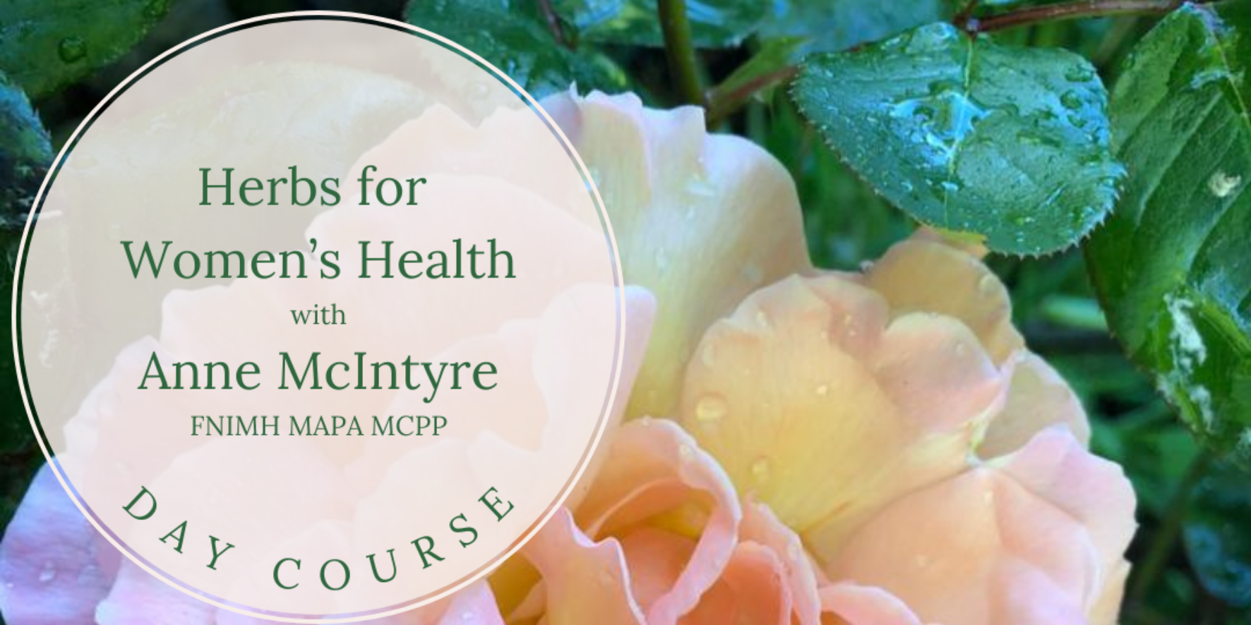 Herbs for Women’s Health with Anne McIntyre